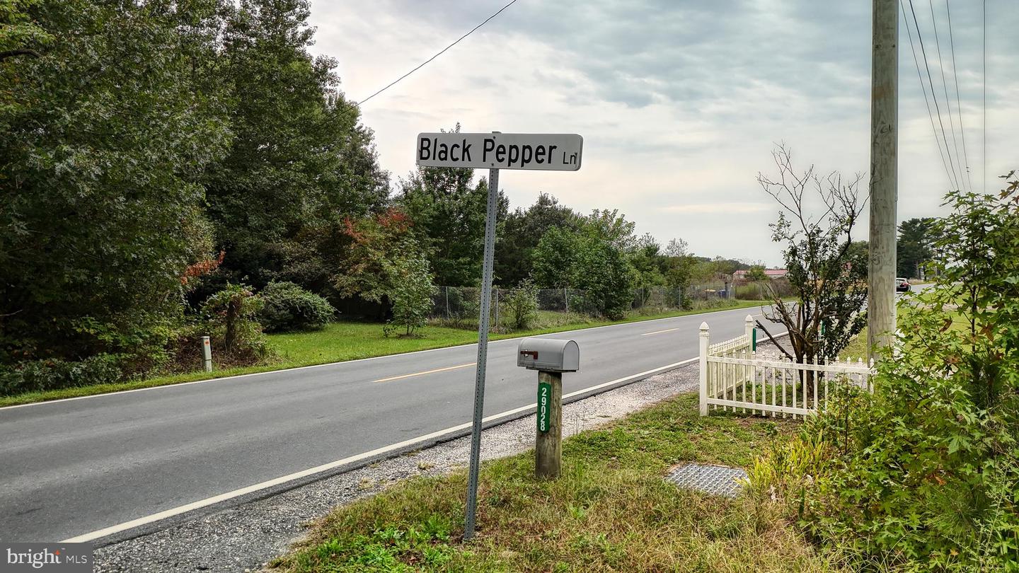 DESU2096988-804219322622-2025-10-04-09-14-06 29028 Black Pepper Ln | Georgetown, DE Real Estate For Sale | MLS# Desu2096988  - Jack Lingo REALTOR