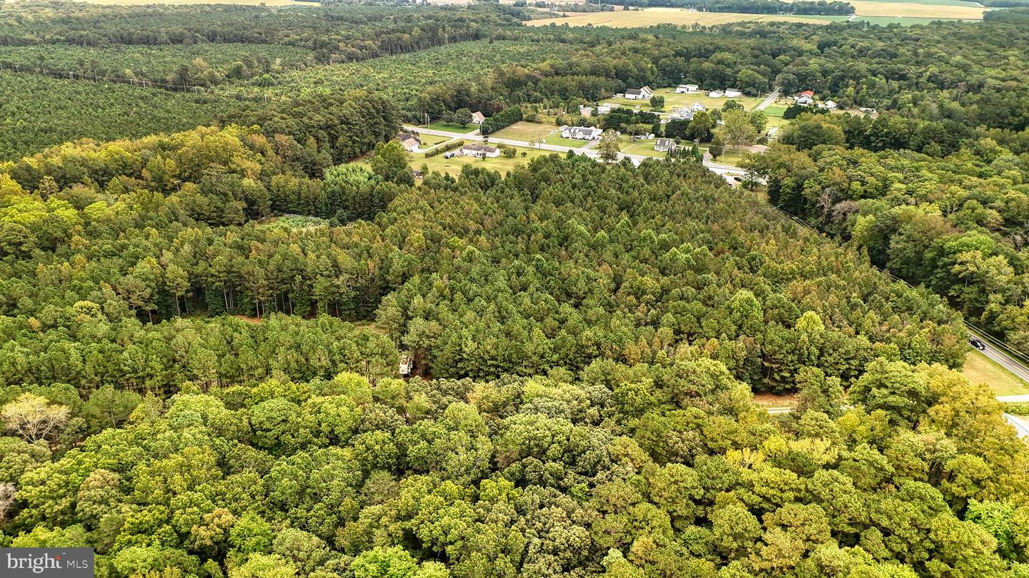 DESU2096988-804219322896-2025-10-04-09-14-06 29028 Black Pepper Ln | Georgetown, DE Real Estate For Sale | MLS# Desu2096988  - Jack Lingo REALTOR