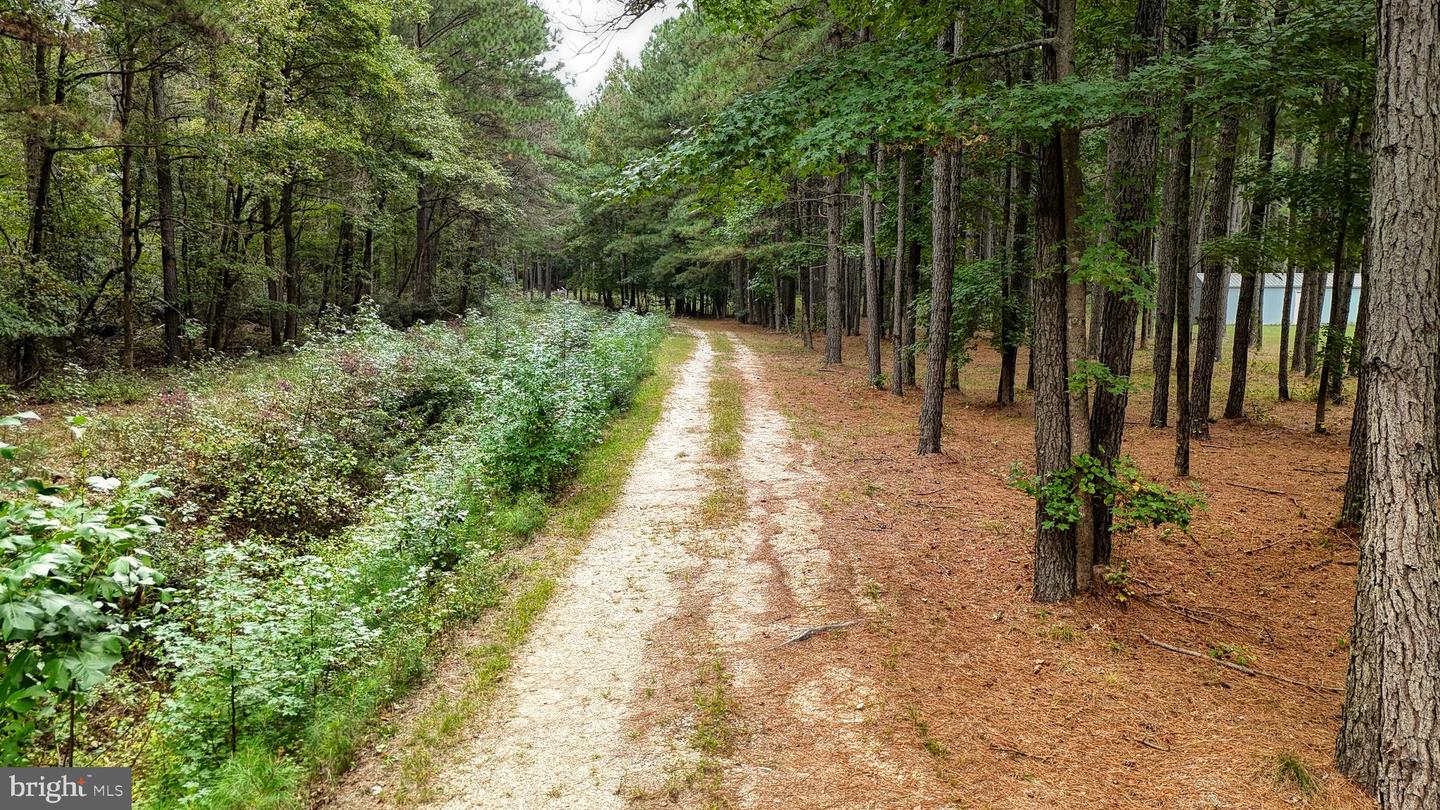 DESU2096988-804219323194-2025-10-04-09-14-06 29028 Black Pepper Ln | Georgetown, DE Real Estate For Sale | MLS# Desu2096988  - Jack Lingo REALTOR