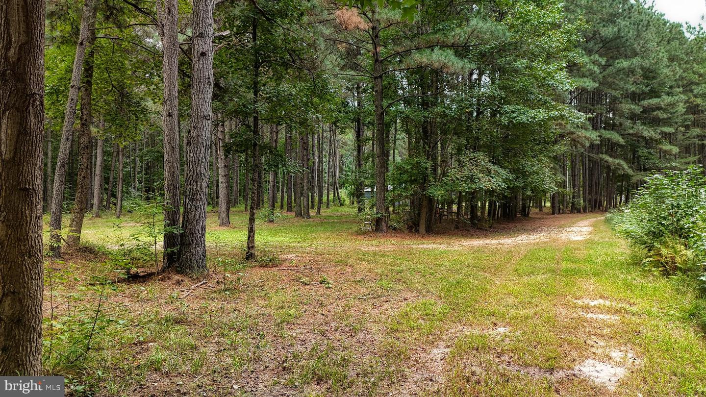 DESU2096988-804219323238-2025-10-04-09-14-06 29028 Black Pepper Ln | Georgetown, DE Real Estate For Sale | MLS# Desu2096988  - Jack Lingo REALTOR