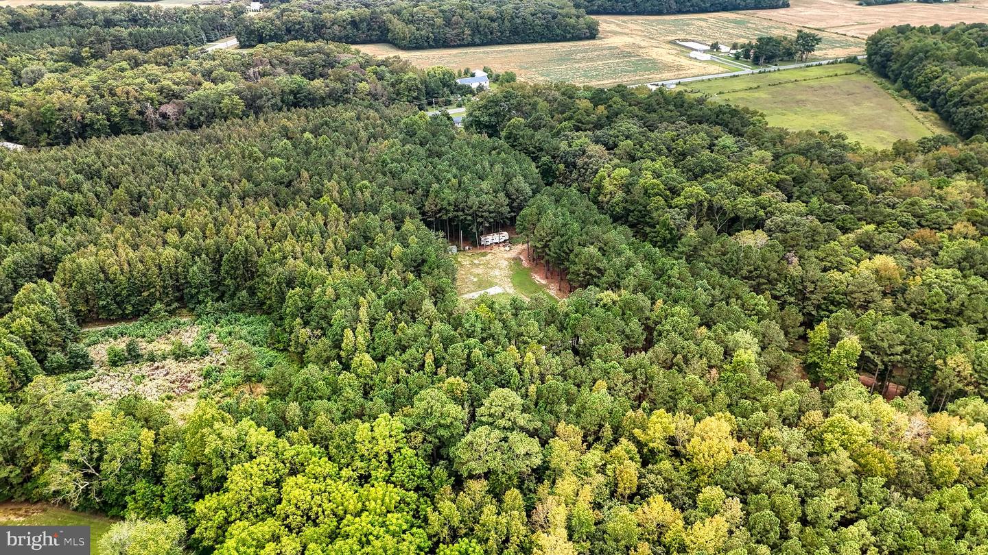 DESU2096988-804219323666-2025-10-04-09-33-05 29028 Black Pepper Ln | Georgetown, DE Real Estate For Sale | MLS# Desu2096988  - Jack Lingo REALTOR