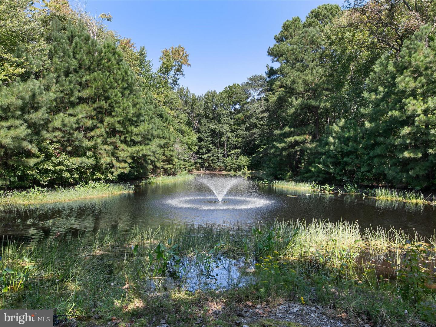 DESU2097624-804196907964-2025-09-25-16-33-10 34 Bethany Forest Dr | Dagsboro, DE Real Estate For Sale | MLS# Desu2097624  - Jack Lingo REALTOR