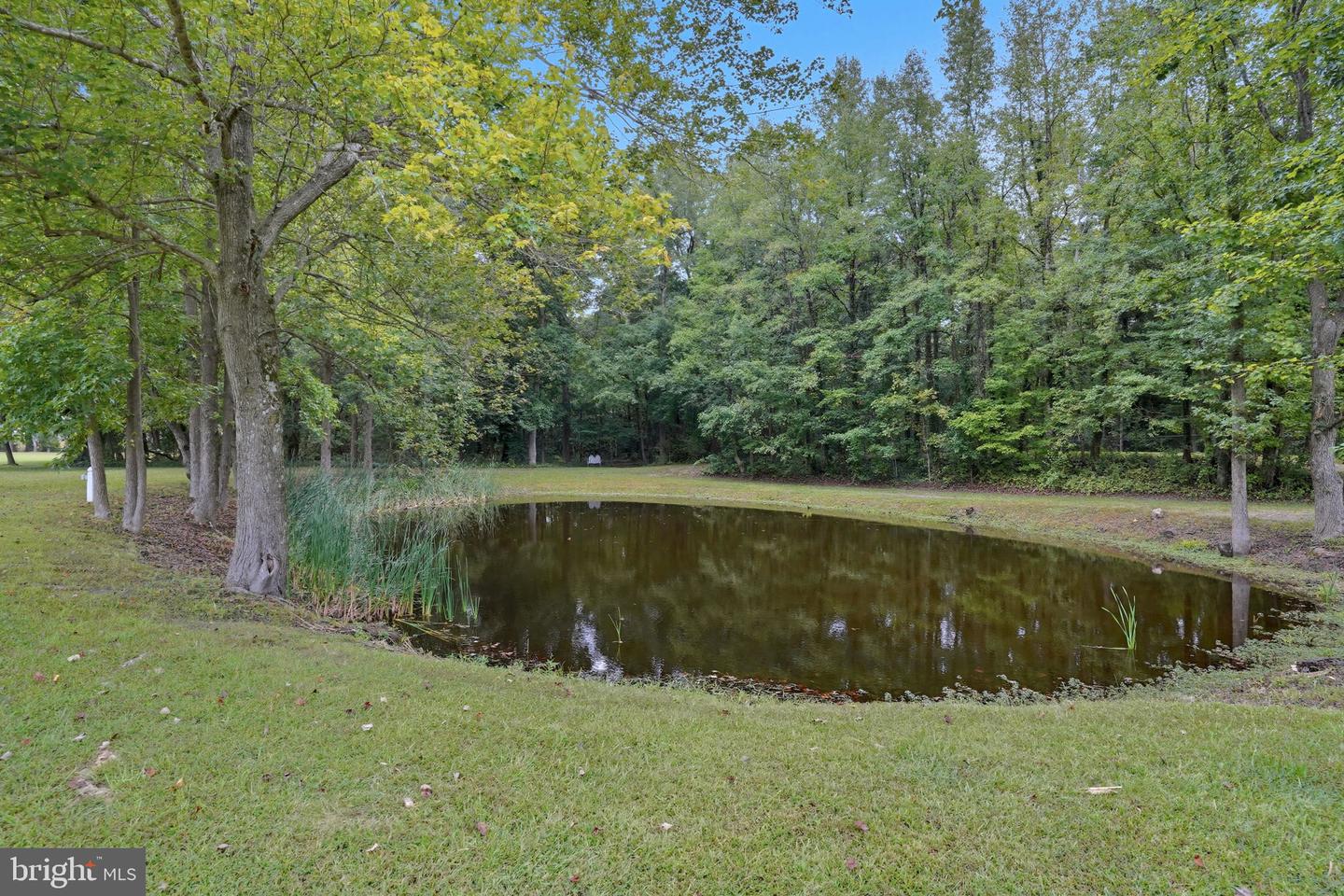 DESU2097942-804208796040-2025-10-01-07-10-11 10463 Beach Hwy | Greenwood, DE Real Estate For Sale | MLS# Desu2097942  - Jack Lingo REALTOR