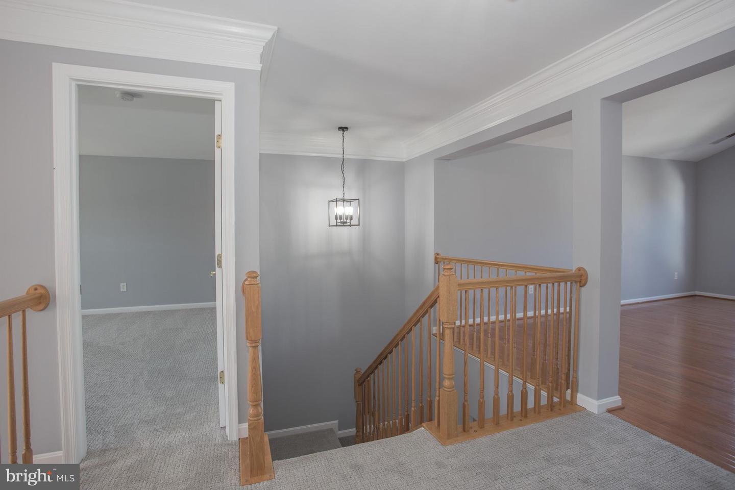DESU2098186-804231611790-2025-10-09-13-53-12 16240 John Rowland Trl | Milton, DE Real Estate For Sale | MLS# Desu2098186  - Jack Lingo REALTOR