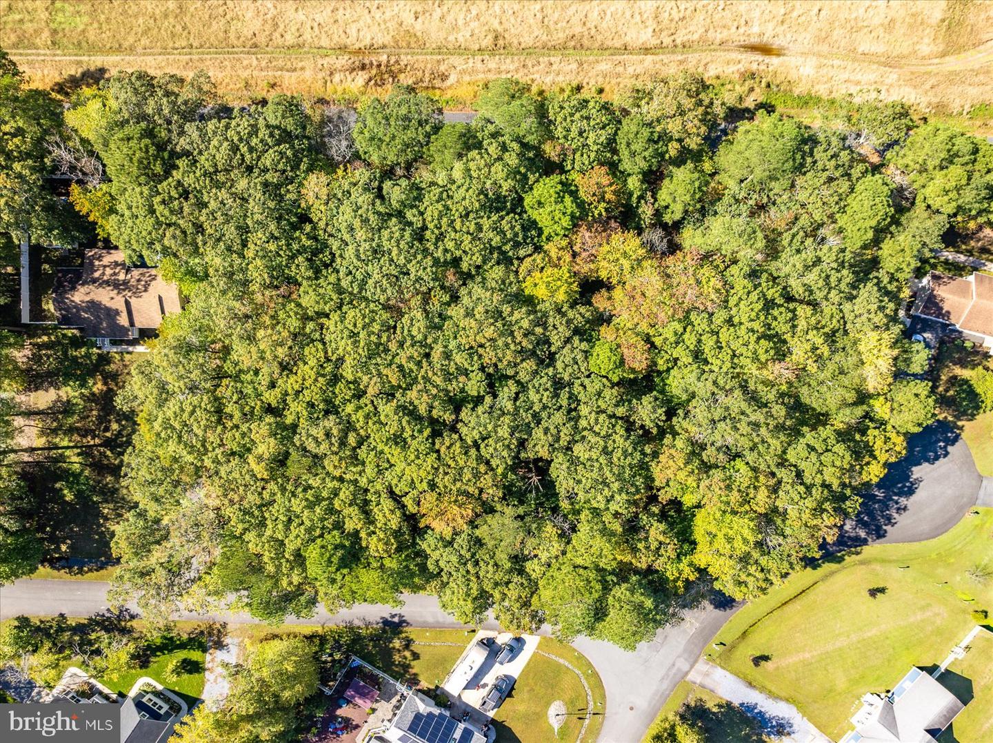 DESU2098512-804259387936-2025-11-06-16-47-08 37614 Fenwick Cir | Selbyville, DE Real Estate For Sale | MLS# Desu2098512  - Jack Lingo REALTOR