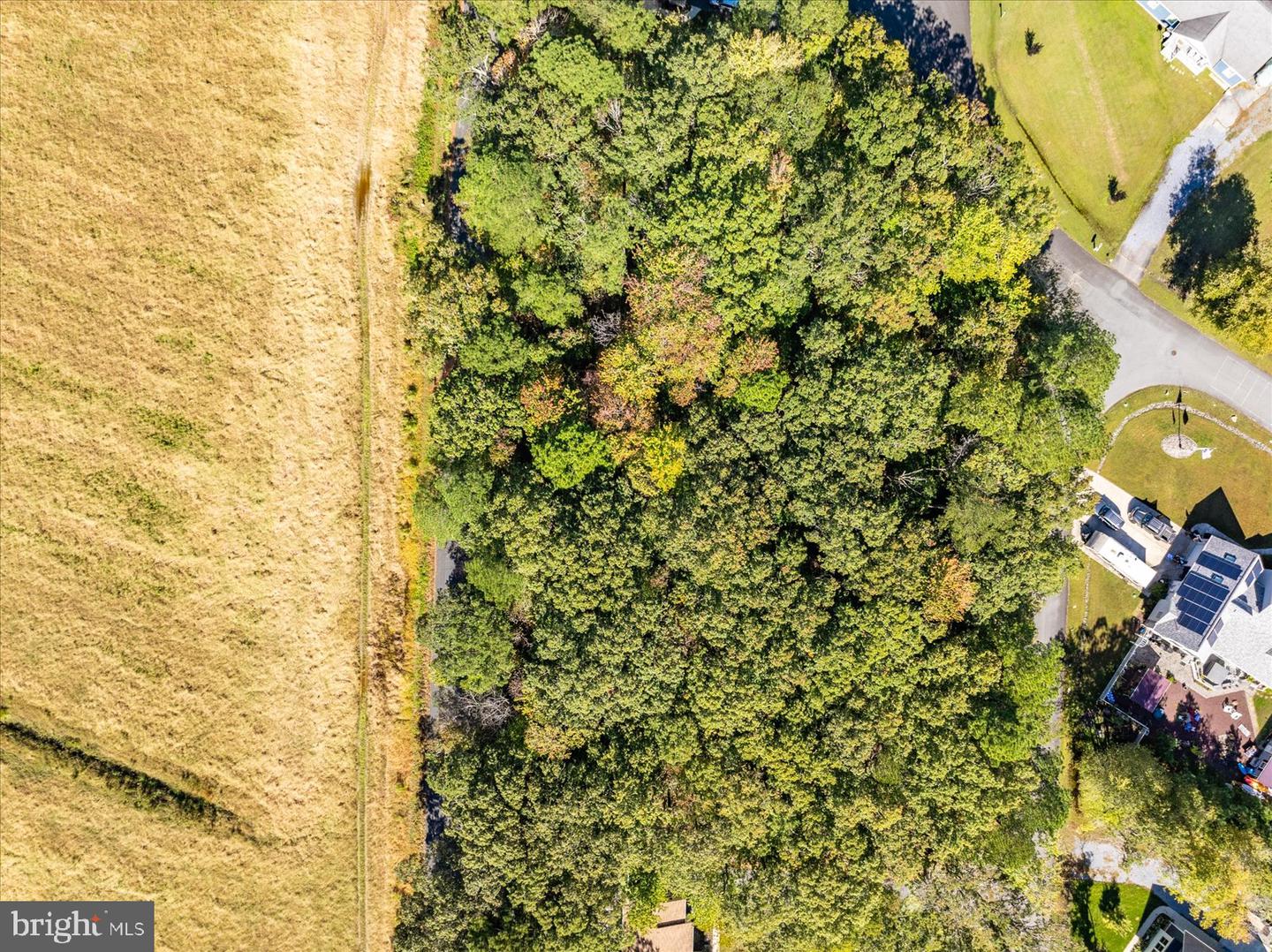 DESU2098512-804259388008-2025-11-06-16-47-09 37614 Fenwick Cir | Selbyville, DE Real Estate For Sale | MLS# Desu2098512  - Jack Lingo REALTOR