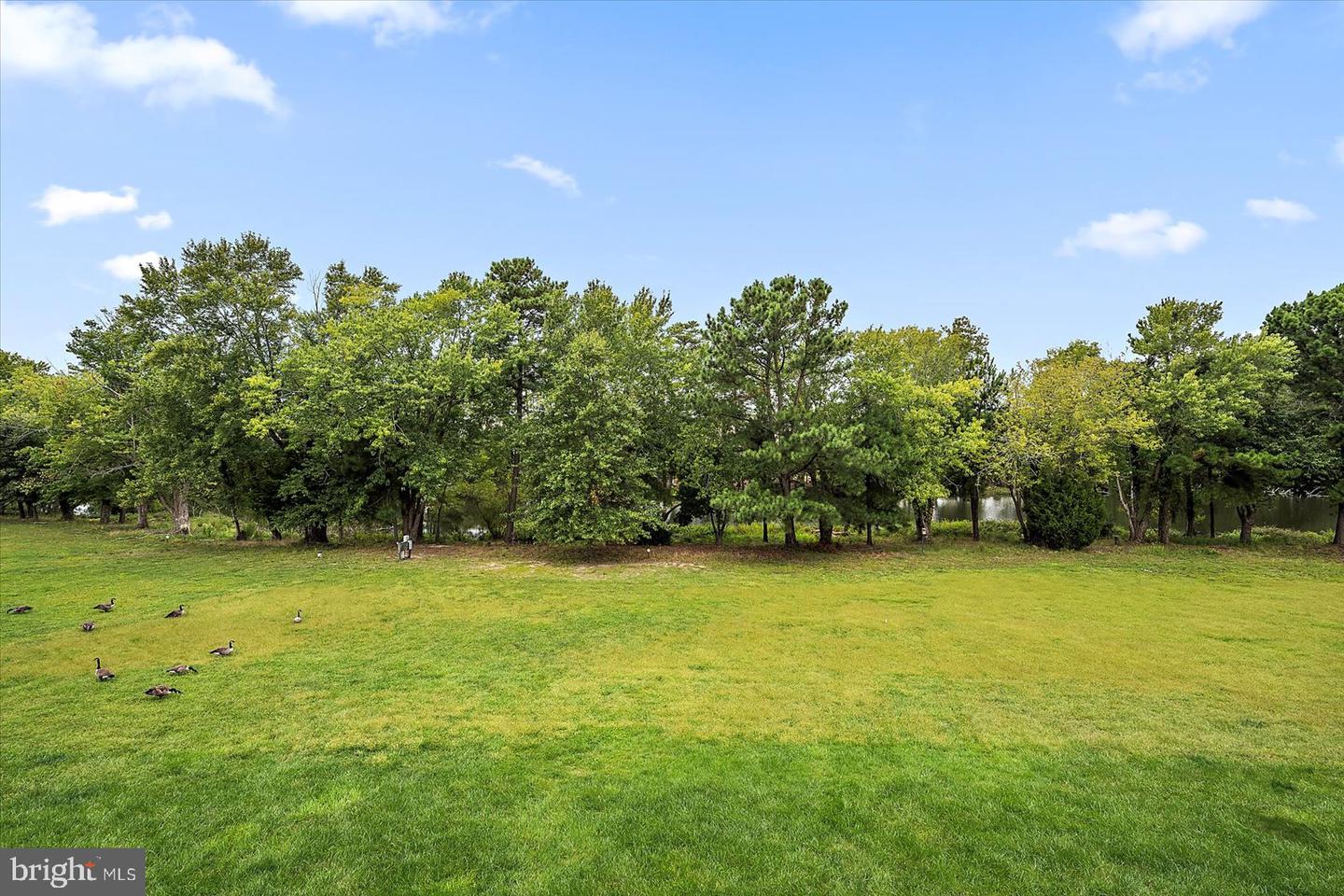 DESU2098582-804237988546-2025-10-18-21-53-07 5 Metz Way #19 | Rehoboth Beach, DE Real Estate For Sale | MLS# Desu2098582  - Jack Lingo REALTOR