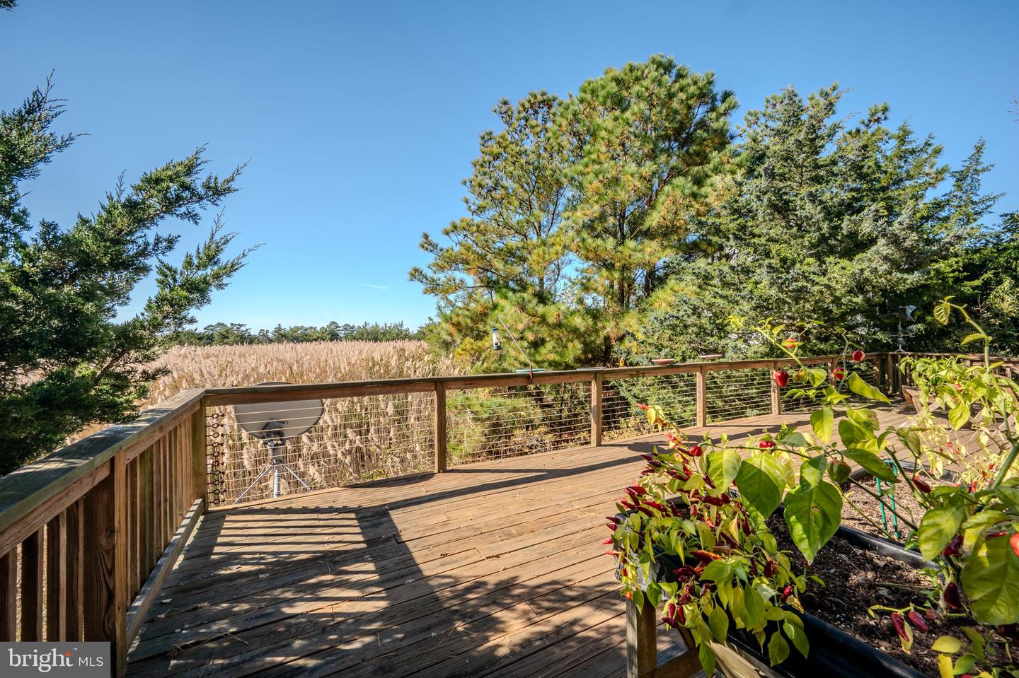 DESU2098708-804298389690-2025-11-11-10-41-41 106 Florida Ave | Milton, DE Real Estate For Sale | MLS# Desu2098708  - Jack Lingo REALTOR