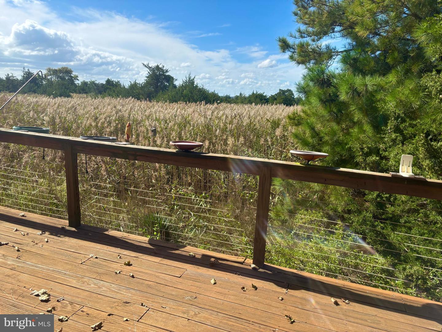 DESU2098708-804298895882-2025-11-11-11-12-31 106 Florida Ave | Milton, DE Real Estate For Sale | MLS# Desu2098708  - Jack Lingo REALTOR