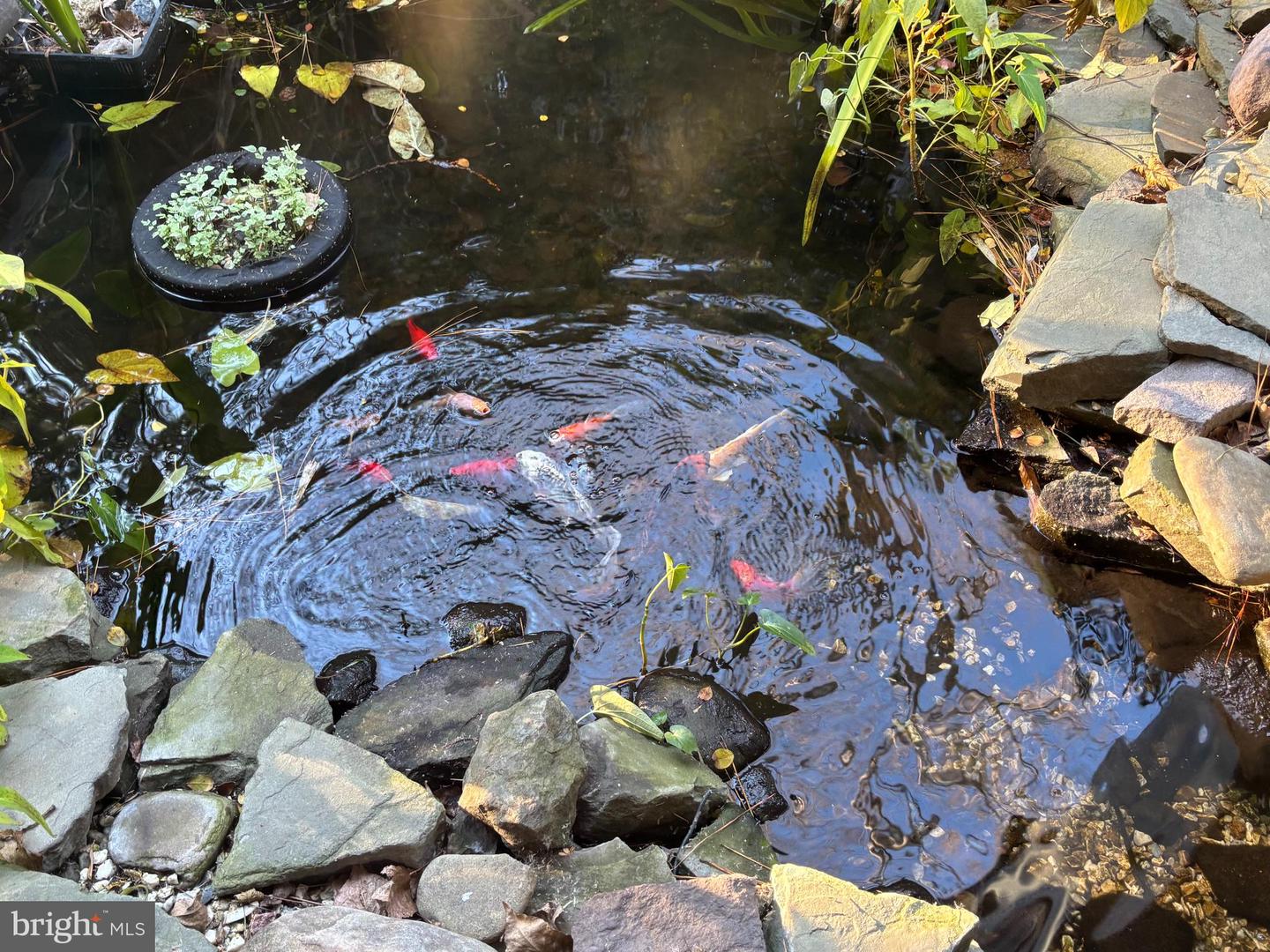 DESU2098708-804304857066-2025-11-11-10-41-38 106 Florida Ave | Milton, DE Real Estate For Sale | MLS# Desu2098708  - Jack Lingo REALTOR