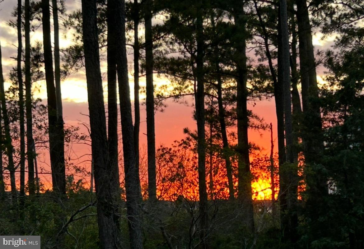 DESU2098832-804335912716-2025-11-29-13-58-34 29244 Park View Dr | Dagsboro, DE Real Estate For Sale | MLS# Desu2098832  - Jack Lingo REALTOR