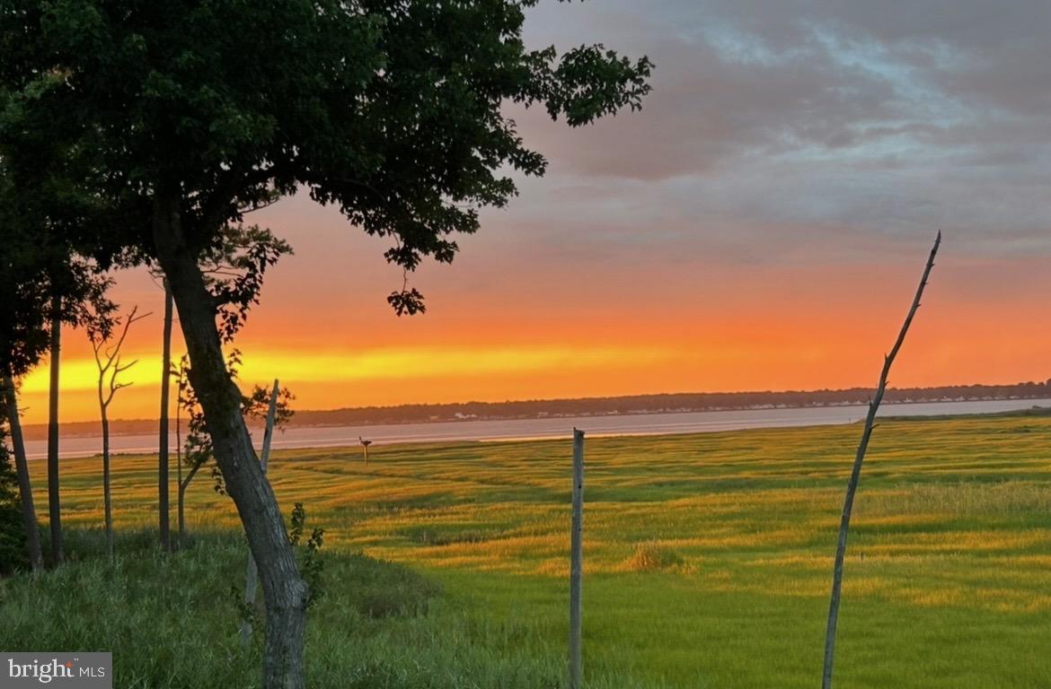 DESU2098832-804335912732-2025-11-29-13-58-49 29244 Park View Dr | Dagsboro, DE Real Estate For Sale | MLS# Desu2098832 - Jack Lingo REALTOR DESU2098832-804335912732-2025-11-29-13-58-49 29244 Park View Dr | Dagsboro, DE Real Estate For Sale | MLS# Desu2098832 - Jack Lingo REALTOR