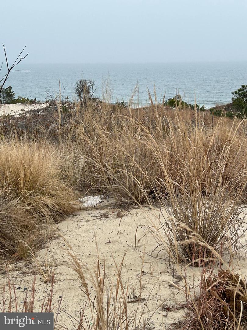 DESU2098896-804249157172-2025-10-28-13-39-05 Lot 3 N Mulberry St | Lewes, DE Real Estate For Sale | MLS# Desu2098896 - Jack Lingo REALTOR DESU2098896-804249157172-2025-10-28-13-39-05 Lot 3 N Mulberry St | Lewes, DE Real Estate For Sale | MLS# Desu2098896 - Jack Lingo REALTOR