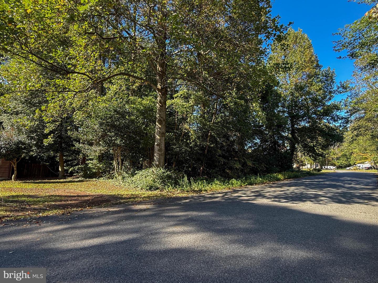 DESU2098898-804250273850-2025-10-23-12-29-06 106 Comanche Cir | Millsboro, DE Real Estate For Sale | MLS# Desu2098898 - Jack Lingo REALTOR DESU2098898-804250273850-2025-10-23-12-29-06 106 Comanche Cir | Millsboro, DE Real Estate For Sale | MLS# Desu2098898 - Jack Lingo REALTOR