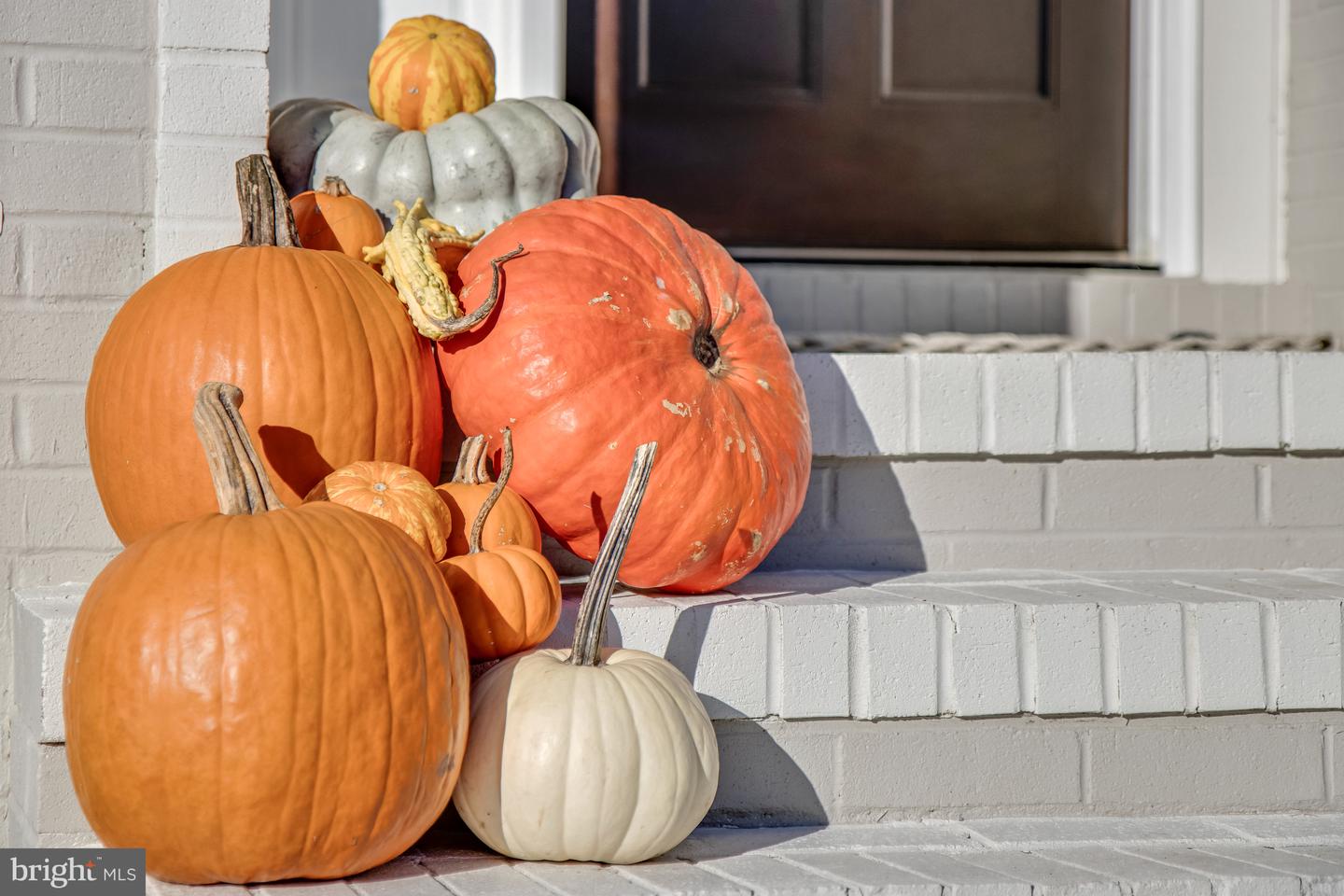 DESU2099116-804284213274-2025-10-31-15-23-38 144 Cornwall Rd | Rehoboth Beach, DE Real Estate For Sale | MLS# Desu2099116  - Jack Lingo REALTOR DESU2099116-804284213274-2025-10-31-15-23-38 144 Cornwall Rd | Rehoboth Beach, DE Real Estate For Sale | MLS# Desu2099116  - Jack Lingo REALTOR