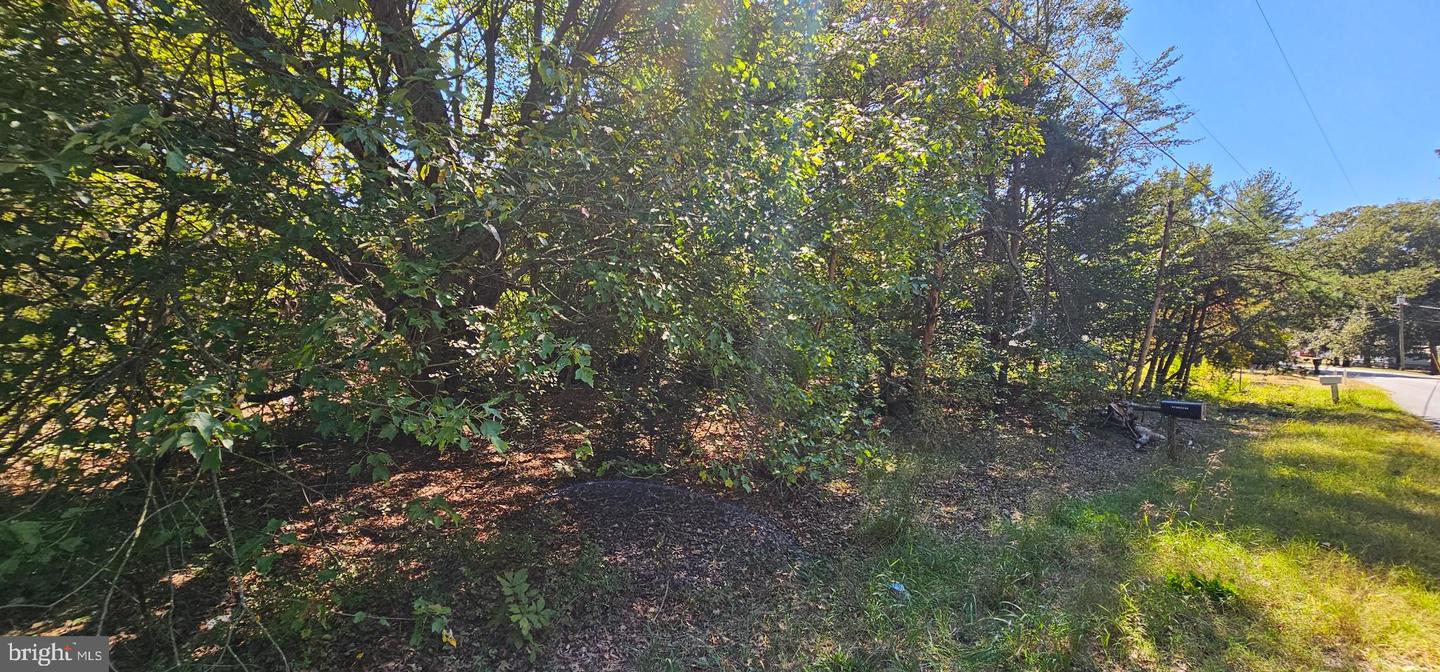 DESU2099442-804271346526-2025-11-01-14-41-33 Lot 13 14 Coverdale Rd | Bridgeville, DE Real Estate For Sale | MLS# Desu2099442  - Jack Lingo REALTOR