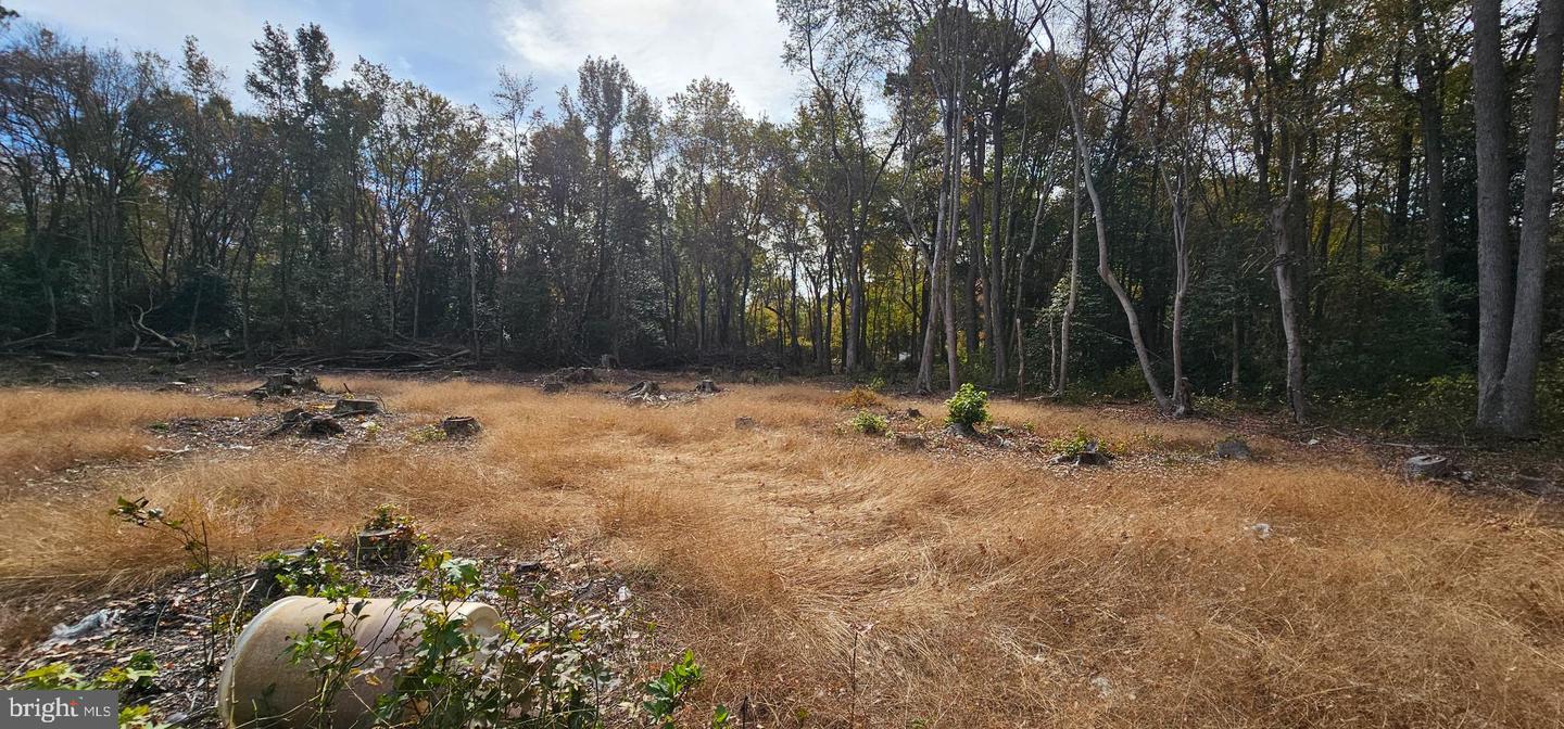 DESU2099444-804289684418-2025-11-03-22-32-57 Lot 12 Northwood Acres Benjamin Ave | Ellendale, DE Real Estate For Sale | MLS# Desu2099444  - Jack Lingo REALTOR