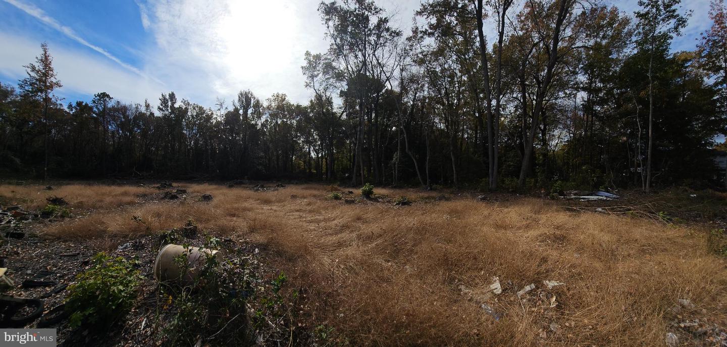 DESU2099444-804289684424-2025-11-03-22-32-57 Lot 12 Northwood Acres Benjamin Ave | Ellendale, DE Real Estate For Sale | MLS# Desu2099444  - Jack Lingo REALTOR