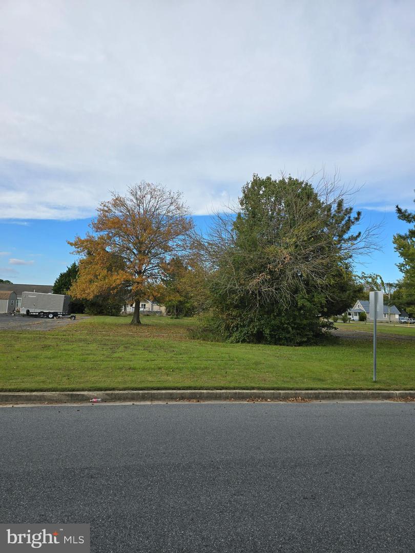 DESU2099454-804272039136-2025-10-26-19-52-47 512, 514, 516 Mulberry St | Milton, DE Real Estate For Sale | MLS# Desu2099454 - Jack Lingo REALTOR DESU2099454-804272039136-2025-10-26-19-52-47 512, 514, 516 Mulberry St | Milton, DE Real Estate For Sale | MLS# Desu2099454 - Jack Lingo REALTOR