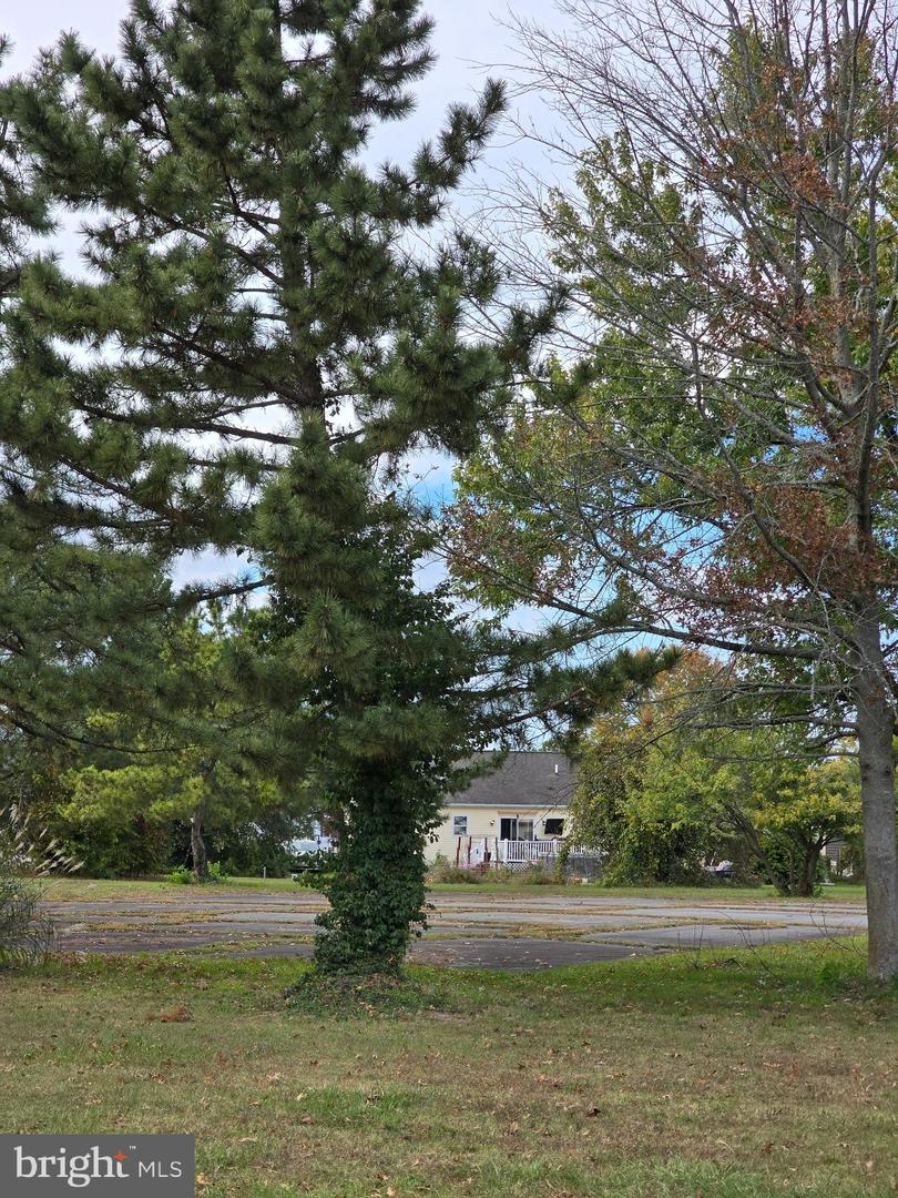 DESU2099454-804272039208-2025-10-26-19-52-47 512, 514, 516 Mulberry St | Milton, DE Real Estate For Sale | MLS# Desu2099454 - Jack Lingo REALTOR DESU2099454-804272039208-2025-10-26-19-52-47 512, 514, 516 Mulberry St | Milton, DE Real Estate For Sale | MLS# Desu2099454 - Jack Lingo REALTOR