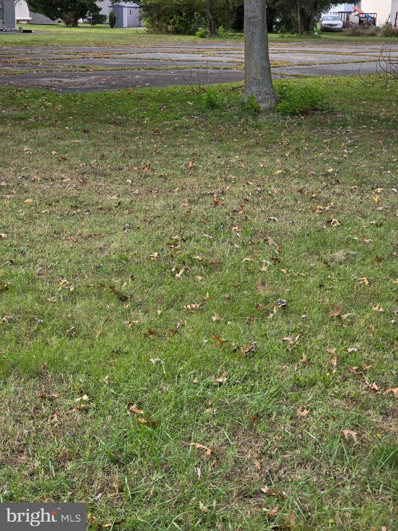 DESU2099454-804272039278-2025-10-26-19-52-47 512, 514, 516 Mulberry St | Milton, DE Real Estate For Sale | MLS# Desu2099454 - Jack Lingo REALTOR DESU2099454-804272039278-2025-10-26-19-52-47 512, 514, 516 Mulberry St | Milton, DE Real Estate For Sale | MLS# Desu2099454 - Jack Lingo REALTOR