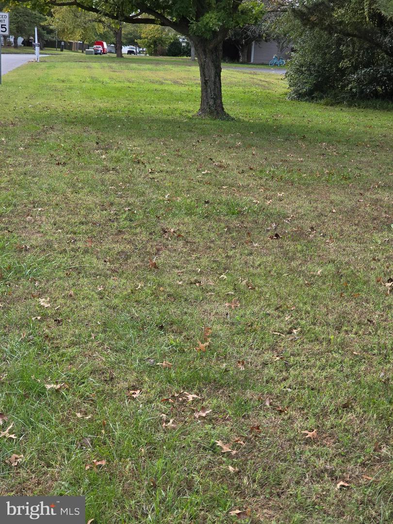 DESU2099454-804272039374-2025-10-26-19-52-48 512, 514, 516 Mulberry St | Milton, DE Real Estate For Sale | MLS# Desu2099454 - Jack Lingo REALTOR DESU2099454-804272039374-2025-10-26-19-52-48 512, 514, 516 Mulberry St | Milton, DE Real Estate For Sale | MLS# Desu2099454 - Jack Lingo REALTOR