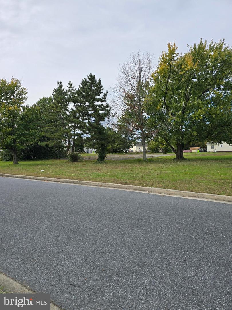 DESU2099454-804272039472-2025-10-26-19-52-47 512, 514, 516 Mulberry St | Milton, DE Real Estate For Sale | MLS# Desu2099454 - Jack Lingo REALTOR DESU2099454-804272039472-2025-10-26-19-52-47 512, 514, 516 Mulberry St | Milton, DE Real Estate For Sale | MLS# Desu2099454 - Jack Lingo REALTOR