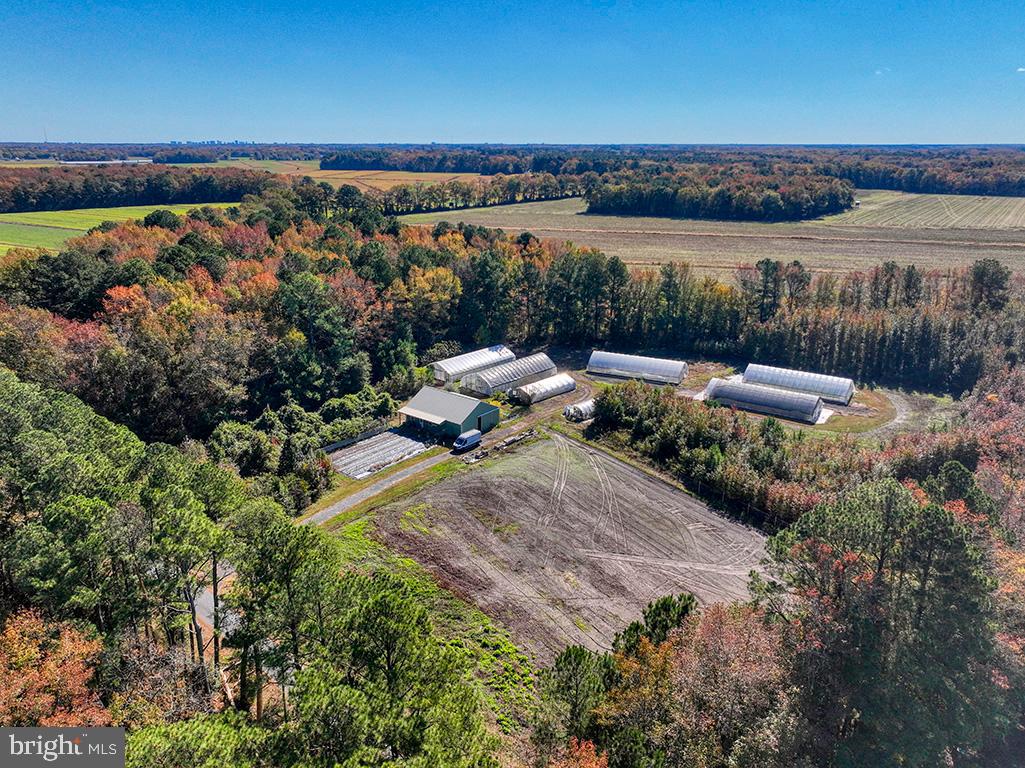 DESU2099498-804273813886-2025-10-27-15-08-41 30402 Jay Patch Rd | Selbyville, DE Real Estate For Sale | MLS# Desu2099498 - Jack Lingo REALTOR DESU2099498-804273813886-2025-10-27-15-08-41 30402 Jay Patch Rd | Selbyville, DE Real Estate For Sale | MLS# Desu2099498 - Jack Lingo REALTOR