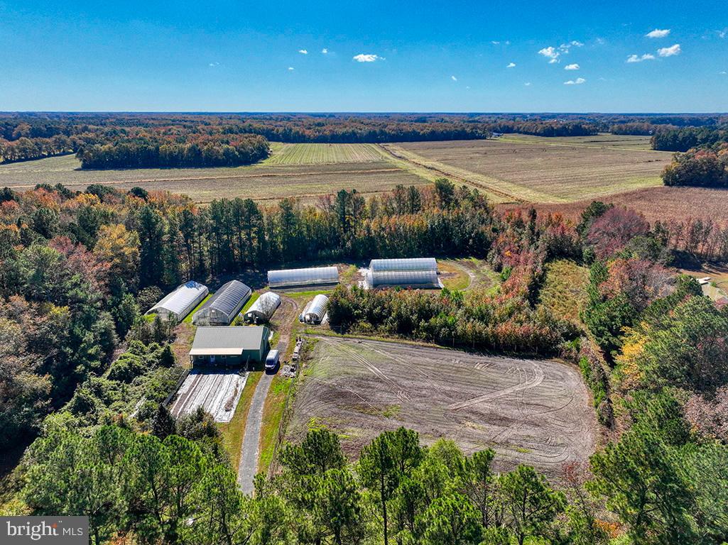 DESU2099498-804273813902-2025-10-27-15-08-40 30402 Jay Patch Rd | Selbyville, DE Real Estate For Sale | MLS# Desu2099498 - Jack Lingo REALTOR DESU2099498-804273813902-2025-10-27-15-08-40 30402 Jay Patch Rd | Selbyville, DE Real Estate For Sale | MLS# Desu2099498 - Jack Lingo REALTOR