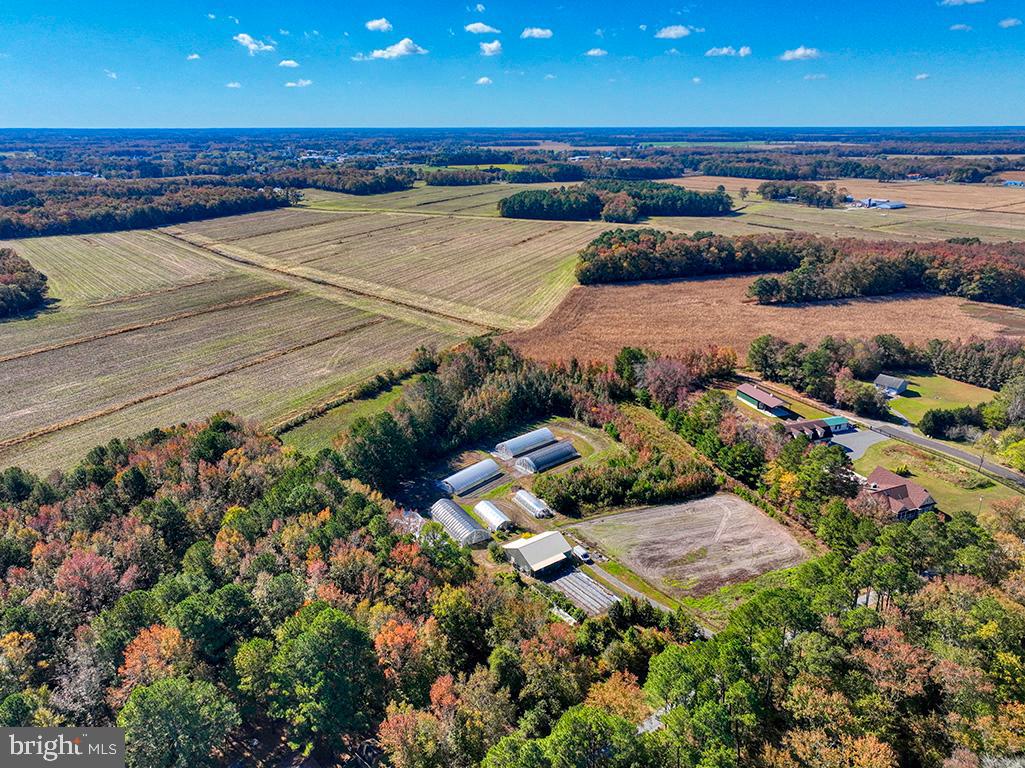 DESU2099498-804273814186-2025-10-27-15-08-41 30402 Jay Patch Rd | Selbyville, DE Real Estate For Sale | MLS# Desu2099498 - Jack Lingo REALTOR DESU2099498-804273814186-2025-10-27-15-08-41 30402 Jay Patch Rd | Selbyville, DE Real Estate For Sale | MLS# Desu2099498 - Jack Lingo REALTOR