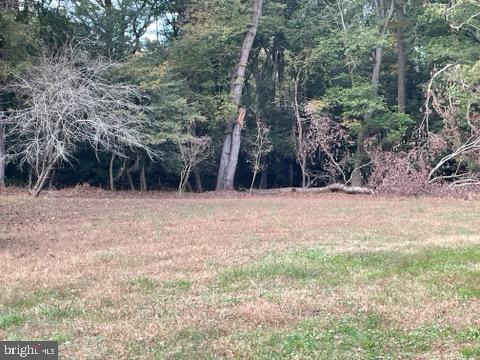 DESU2099596-804276374530-2025-10-29-11-26-02 0 Rt 54 | Selbyville, DE Real Estate For Sale | MLS# Desu2099596 - Jack Lingo REALTOR DESU2099596-804276374530-2025-10-29-11-26-02 0 Rt 54 | Selbyville, DE Real Estate For Sale | MLS# Desu2099596 - Jack Lingo REALTOR