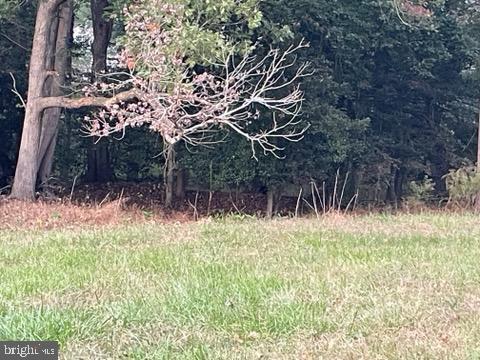 DESU2099596-804276374640-2025-10-29-11-26-02 0 Rt 54 | Selbyville, DE Real Estate For Sale | MLS# Desu2099596 - Jack Lingo REALTOR DESU2099596-804276374640-2025-10-29-11-26-02 0 Rt 54 | Selbyville, DE Real Estate For Sale | MLS# Desu2099596 - Jack Lingo REALTOR