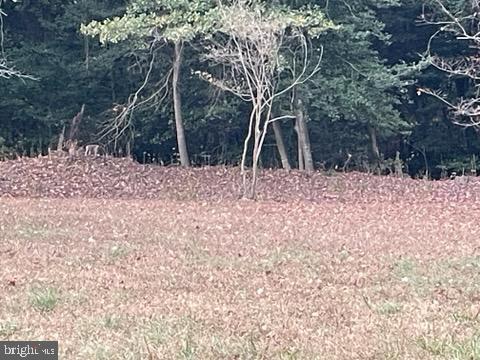 DESU2099596-804276374694-2025-10-29-11-26-02 0 Rt 54 | Selbyville, DE Real Estate For Sale | MLS# Desu2099596 - Jack Lingo REALTOR DESU2099596-804276374694-2025-10-29-11-26-02 0 Rt 54 | Selbyville, DE Real Estate For Sale | MLS# Desu2099596 - Jack Lingo REALTOR