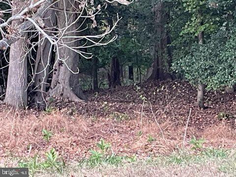 DESU2099596-804276374916-2025-10-29-11-26-02 0 Rt 54 | Selbyville, DE Real Estate For Sale | MLS# Desu2099596 - Jack Lingo REALTOR DESU2099596-804276374916-2025-10-29-11-26-02 0 Rt 54 | Selbyville, DE Real Estate For Sale | MLS# Desu2099596 - Jack Lingo REALTOR