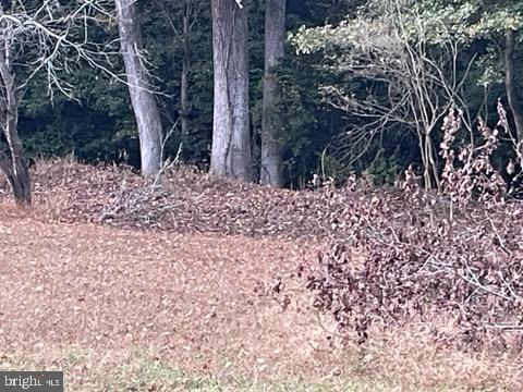 DESU2099596-804276375126-2025-10-29-11-26-02 0 Rt 54 | Selbyville, DE Real Estate For Sale | MLS# Desu2099596 - Jack Lingo REALTOR DESU2099596-804276375126-2025-10-29-11-26-02 0 Rt 54 | Selbyville, DE Real Estate For Sale | MLS# Desu2099596 - Jack Lingo REALTOR