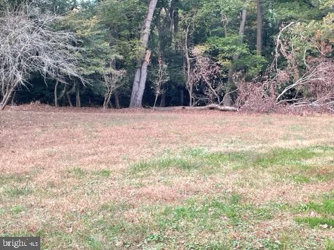 DESU2099596-804276375228-2025-10-29-11-26-03 0 Rt 54 | Selbyville, DE Real Estate For Sale | MLS# Desu2099596 - Jack Lingo REALTOR DESU2099596-804276375228-2025-10-29-11-26-03 0 Rt 54 | Selbyville, DE Real Estate For Sale | MLS# Desu2099596 - Jack Lingo REALTOR