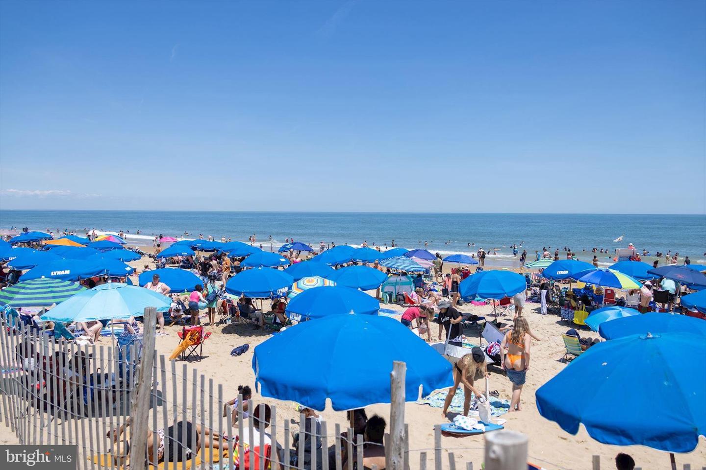 DESU2099608-804542025438-2026-02-18-10-16-12 20329 Luciana Ln | Rehoboth Beach, DE Real Estate For Sale | MLS# Desu2099608 - Jack Lingo REALTOR DESU2099608-804542025438-2026-02-18-10-16-12 20329 Luciana Ln | Rehoboth Beach, DE Real Estate For Sale | MLS# Desu2099608 - Jack Lingo REALTOR