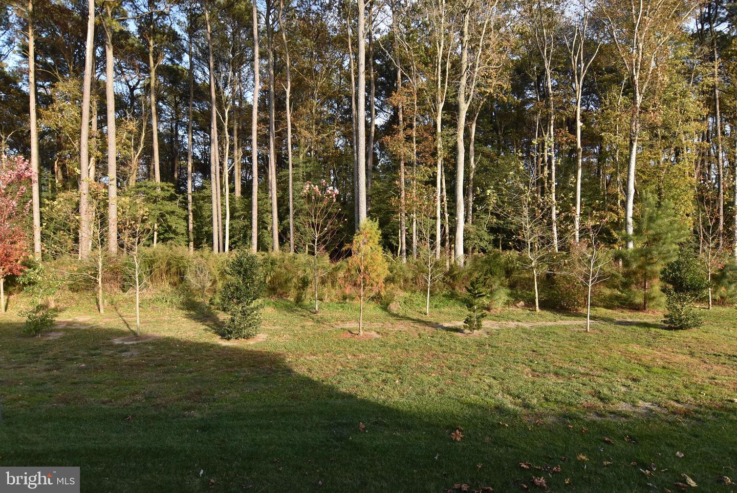 DESU2099664-804309240516-2025-11-13-08-04-04 37921 Coppice Way | Dagsboro, DE Real Estate For Sale | MLS# Desu2099664  - Jack Lingo REALTOR