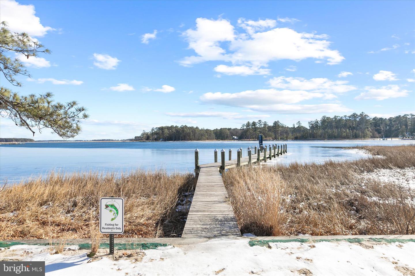 DESU2099672-804507039292-2026-03-20-14-17-11 33551 Herring View Dr | Lewes, DE Real Estate For Sale | MLS# Desu2099672 - Jack Lingo REALTOR DESU2099672-804507039292-2026-03-20-14-17-11 33551 Herring View Dr | Lewes, DE Real Estate For Sale | MLS# Desu2099672 - Jack Lingo REALTOR