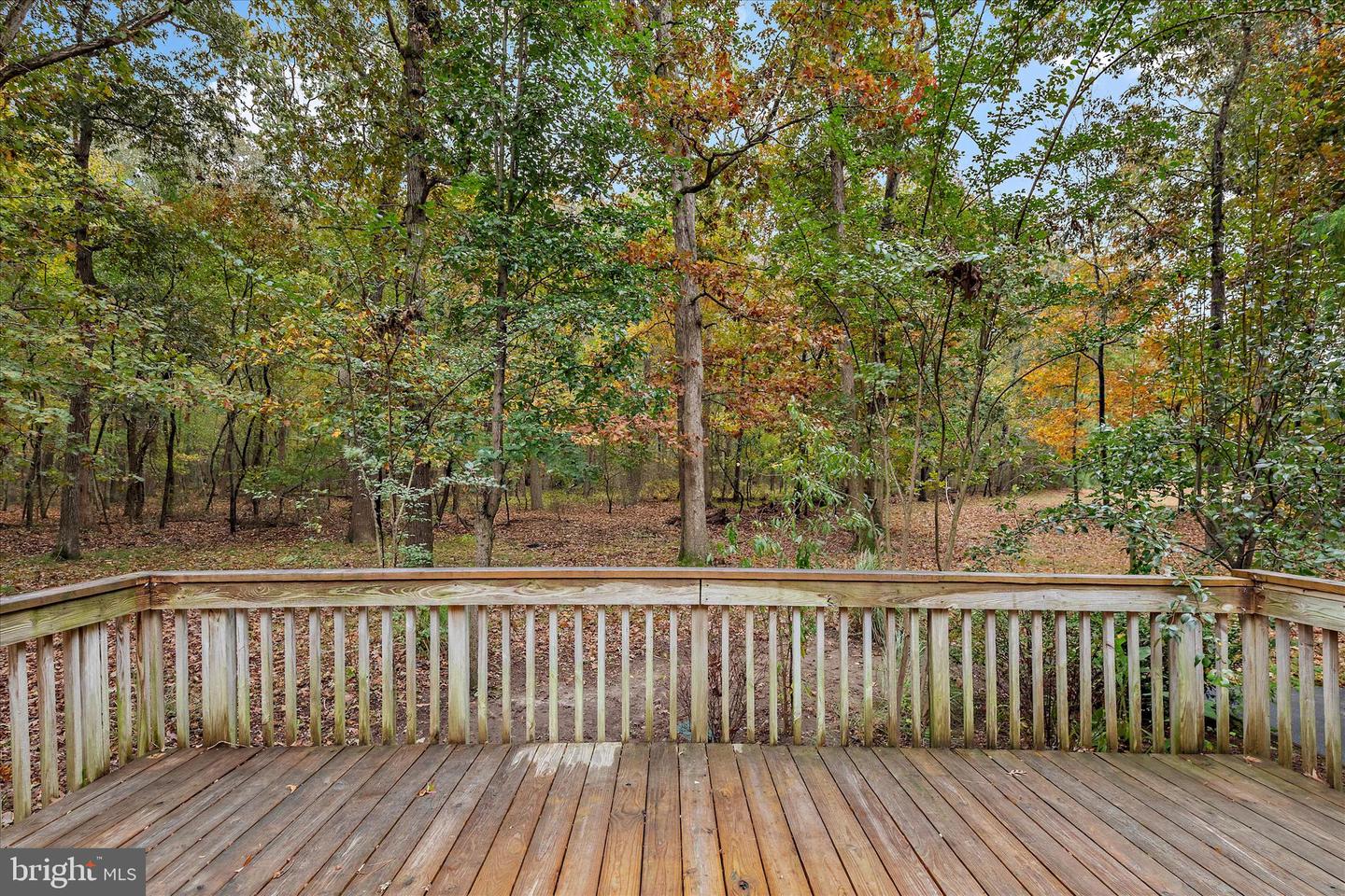 DESU2099682-804281636810-2025-10-30-15-31-58 31703 Hickory Manor Rd | Frankford, DE Real Estate For Sale | MLS# Desu2099682 - Jack Lingo REALTOR DESU2099682-804281636810-2025-10-30-15-31-58 31703 Hickory Manor Rd | Frankford, DE Real Estate For Sale | MLS# Desu2099682 - Jack Lingo REALTOR