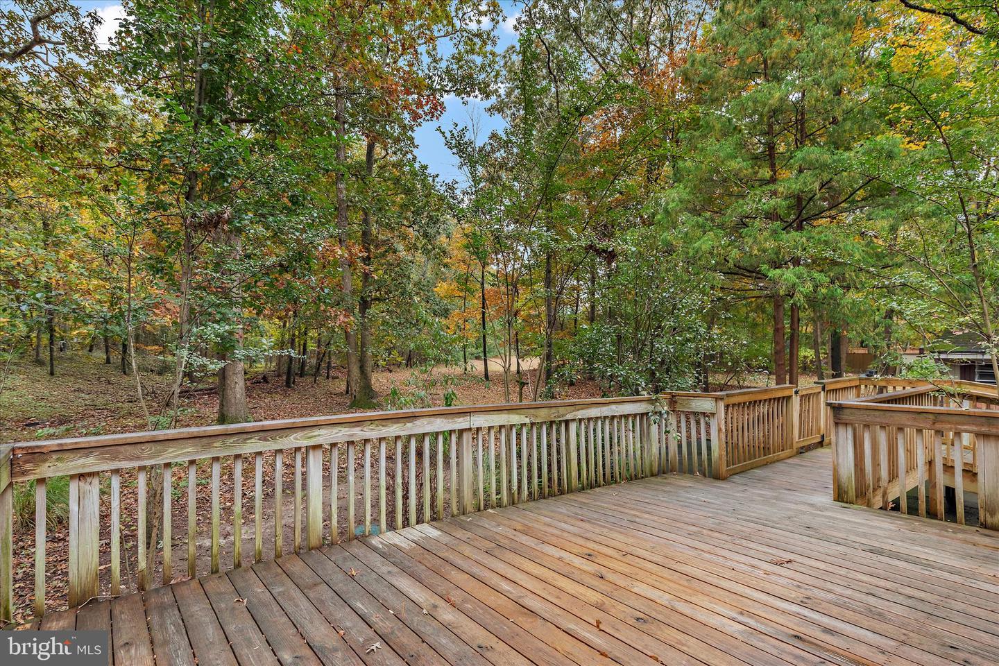 DESU2099682-804281636850-2025-10-30-15-31-58 31703 Hickory Manor Rd | Frankford, DE Real Estate For Sale | MLS# Desu2099682 - Jack Lingo REALTOR DESU2099682-804281636850-2025-10-30-15-31-58 31703 Hickory Manor Rd | Frankford, DE Real Estate For Sale | MLS# Desu2099682 - Jack Lingo REALTOR