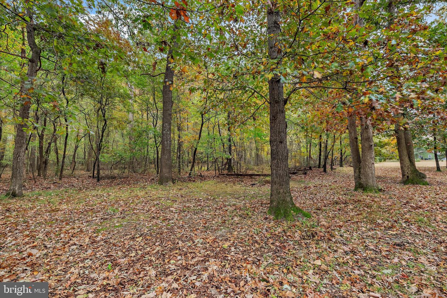 DESU2099682-804281636938-2025-10-30-15-31-58 31703 Hickory Manor Rd | Frankford, DE Real Estate For Sale | MLS# Desu2099682 - Jack Lingo REALTOR DESU2099682-804281636938-2025-10-30-15-31-58 31703 Hickory Manor Rd | Frankford, DE Real Estate For Sale | MLS# Desu2099682 - Jack Lingo REALTOR