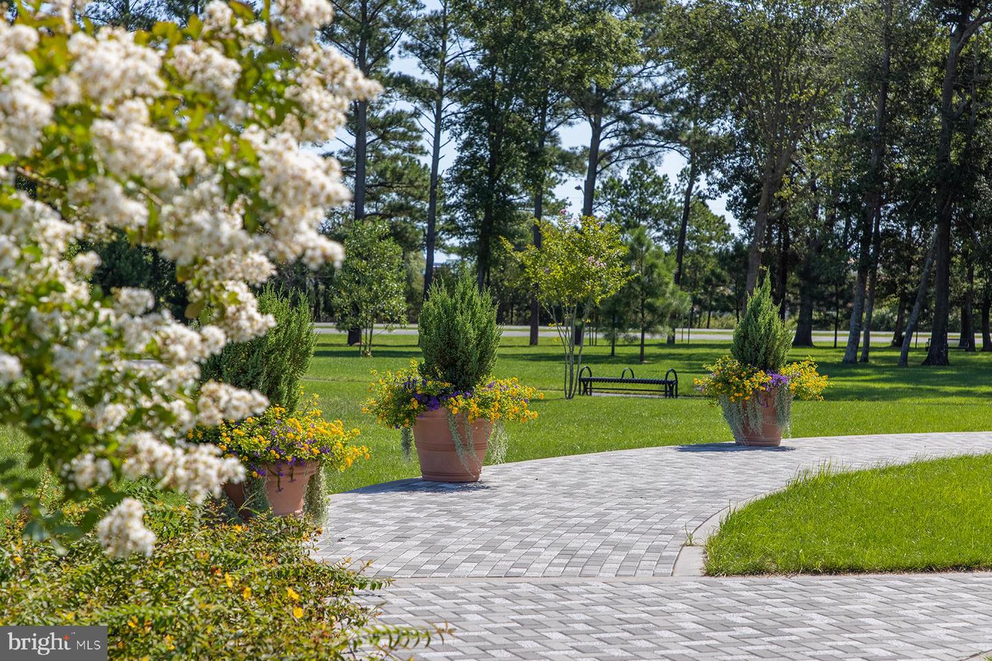 DESU2099684-804281534190-2025-11-01-16-50-00 232b October Glory Ave | Ocean View, DE Real Estate For Sale | MLS# Desu2099684 - Jack Lingo REALTOR DESU2099684-804281534190-2025-11-01-16-50-00 232b October Glory Ave | Ocean View, DE Real Estate For Sale | MLS# Desu2099684 - Jack Lingo REALTOR