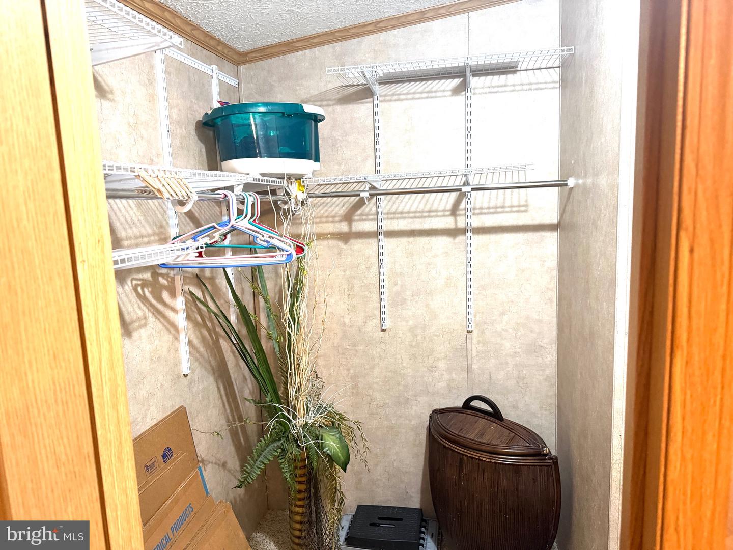 DESU2099710-804281473450-2025-11-01-09-22-13 25808 Hallmark St | Millsboro, DE Real Estate For Sale | MLS# Desu2099710 - Jack Lingo REALTOR DESU2099710-804281473450-2025-11-01-09-22-13 25808 Hallmark St | Millsboro, DE Real Estate For Sale | MLS# Desu2099710 - Jack Lingo REALTOR