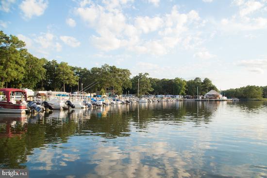 DESU2099710-804294912916-2026-03-20-12-33-09 25808 Hallmark St | Millsboro, DE Real Estate For Sale | MLS# Desu2099710  - Jack Lingo REALTOR