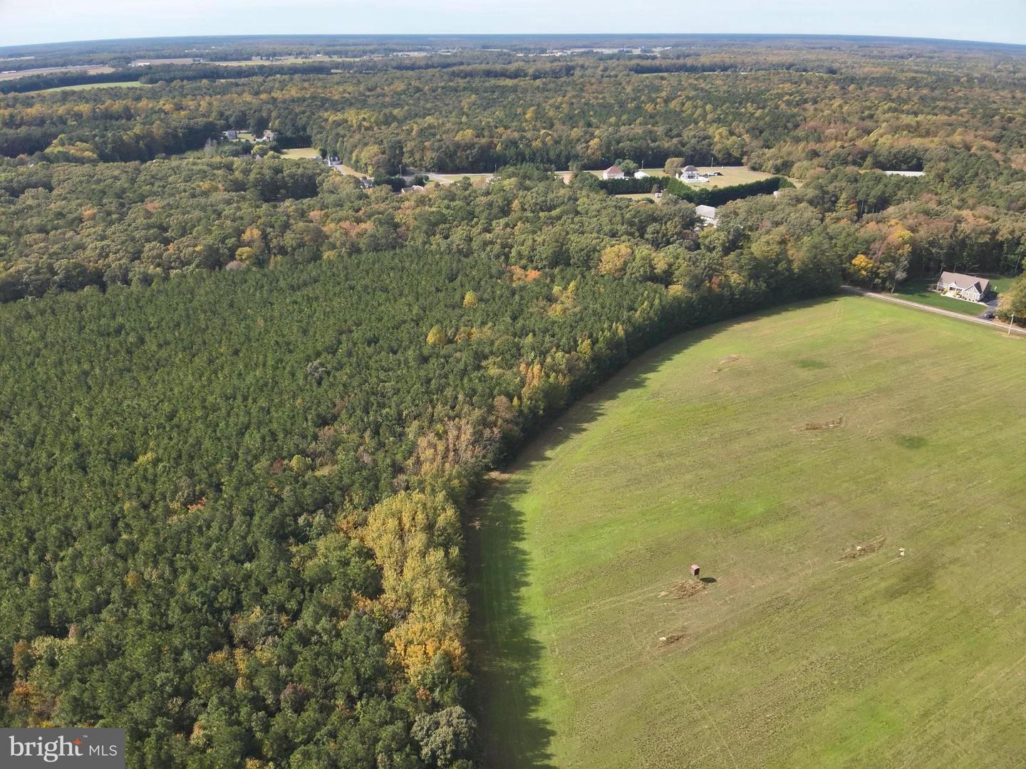 DESU2100052-804290814430-2025-11-05-14-23-26 0 Rt 317 | Georgetown, DE Real Estate For Sale | MLS# Desu2100052 - Jack Lingo REALTOR DESU2100052-804290814430-2025-11-05-14-23-26 0 Rt 317 | Georgetown, DE Real Estate For Sale | MLS# Desu2100052 - Jack Lingo REALTOR