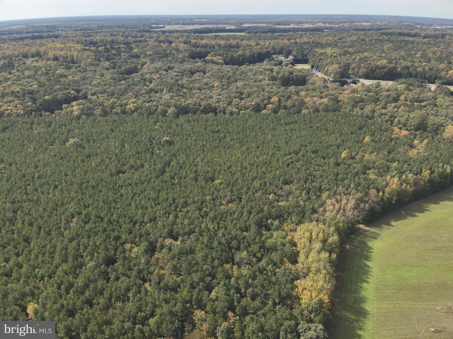 DESU2100052-804290814502-2025-11-05-14-23-27 0 Rt 317 | Georgetown, DE Real Estate For Sale | MLS# Desu2100052 - Jack Lingo REALTOR DESU2100052-804290814502-2025-11-05-14-23-27 0 Rt 317 | Georgetown, DE Real Estate For Sale | MLS# Desu2100052 - Jack Lingo REALTOR