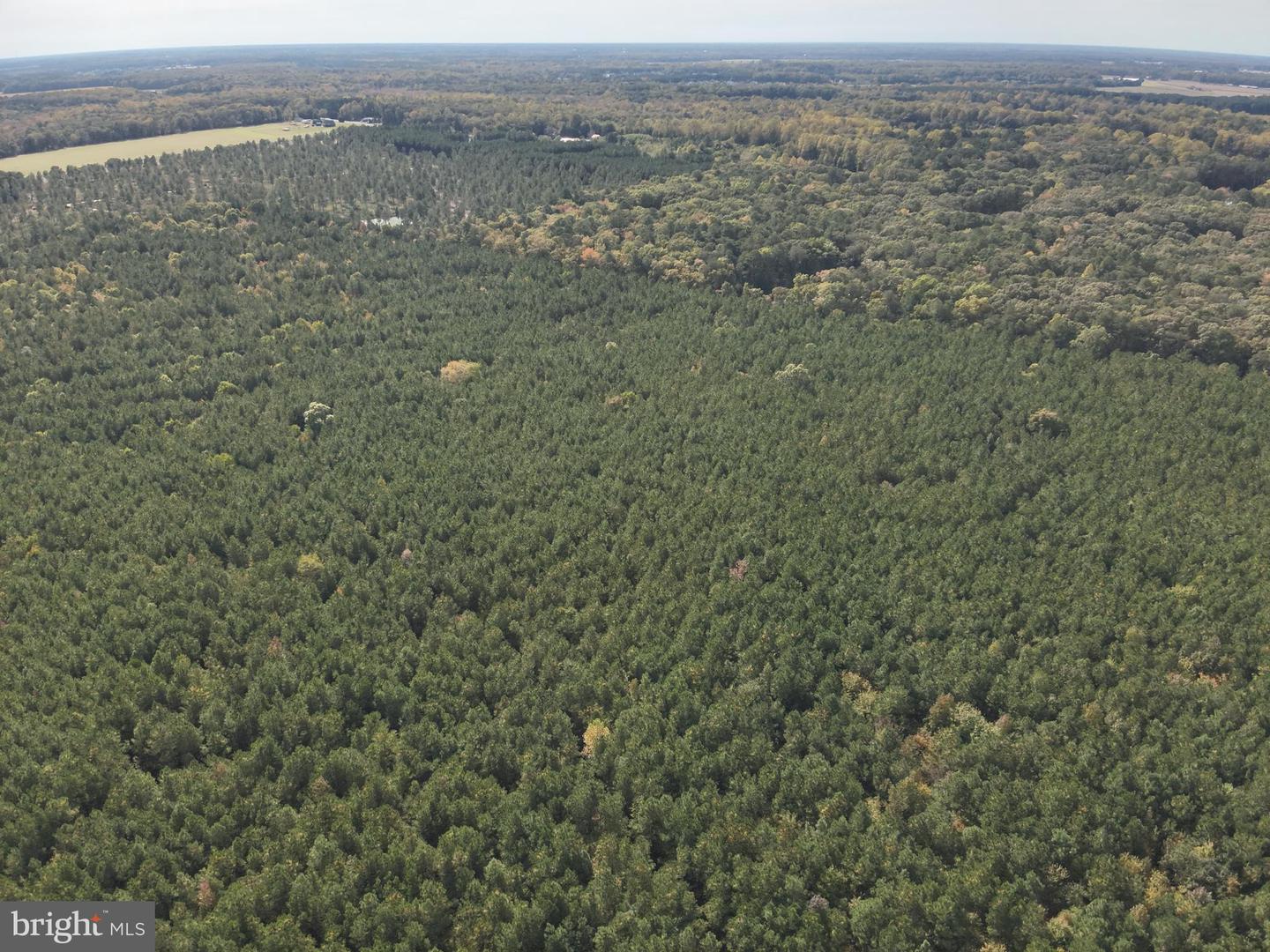 DESU2100052-804290814544-2025-11-05-14-23-26 0 Rt 317 | Georgetown, DE Real Estate For Sale | MLS# Desu2100052 - Jack Lingo REALTOR DESU2100052-804290814544-2025-11-05-14-23-26 0 Rt 317 | Georgetown, DE Real Estate For Sale | MLS# Desu2100052 - Jack Lingo REALTOR