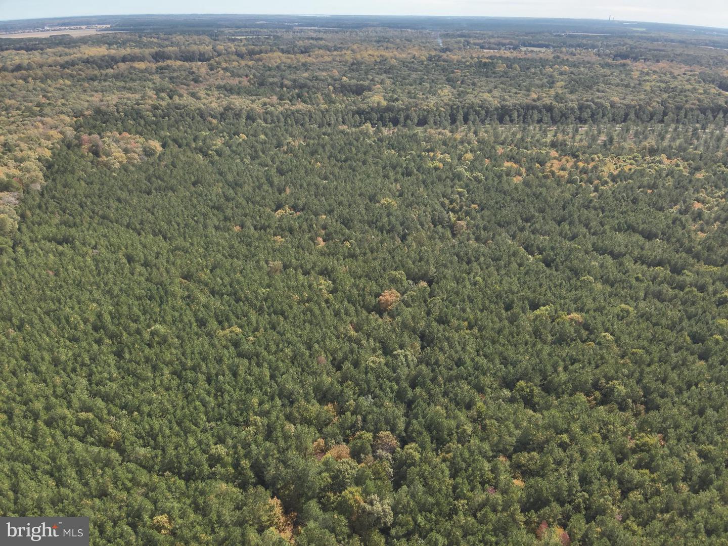 DESU2100052-804290814654-2025-11-05-14-23-27 0 Rt 317 | Georgetown, DE Real Estate For Sale | MLS# Desu2100052 - Jack Lingo REALTOR DESU2100052-804290814654-2025-11-05-14-23-27 0 Rt 317 | Georgetown, DE Real Estate For Sale | MLS# Desu2100052 - Jack Lingo REALTOR