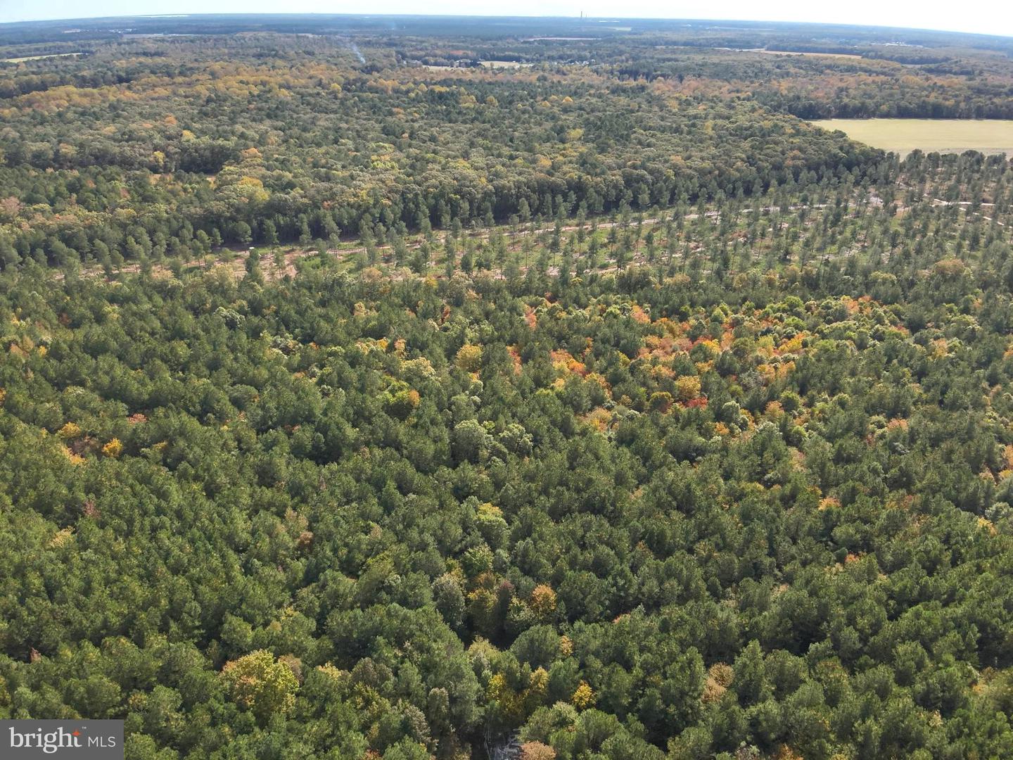 DESU2100052-804290814698-2025-11-05-14-23-27 0 Rt 317 | Georgetown, DE Real Estate For Sale | MLS# Desu2100052 - Jack Lingo REALTOR DESU2100052-804290814698-2025-11-05-14-23-27 0 Rt 317 | Georgetown, DE Real Estate For Sale | MLS# Desu2100052 - Jack Lingo REALTOR